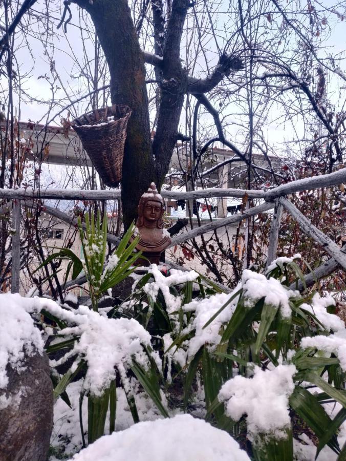 Mars Monkey Hostel & Cafe Manali  Exterior photo