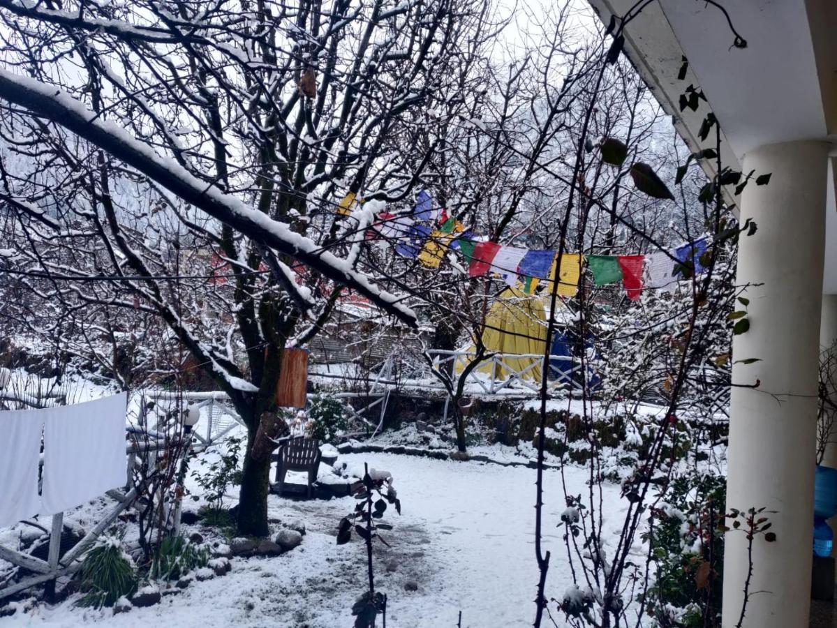 Mars Monkey Hostel & Cafe Manali  Exterior photo