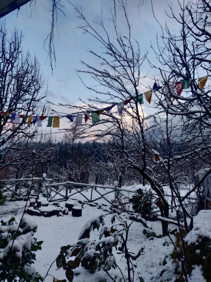 Mars Monkey Hostel & Cafe Manali  Exterior photo