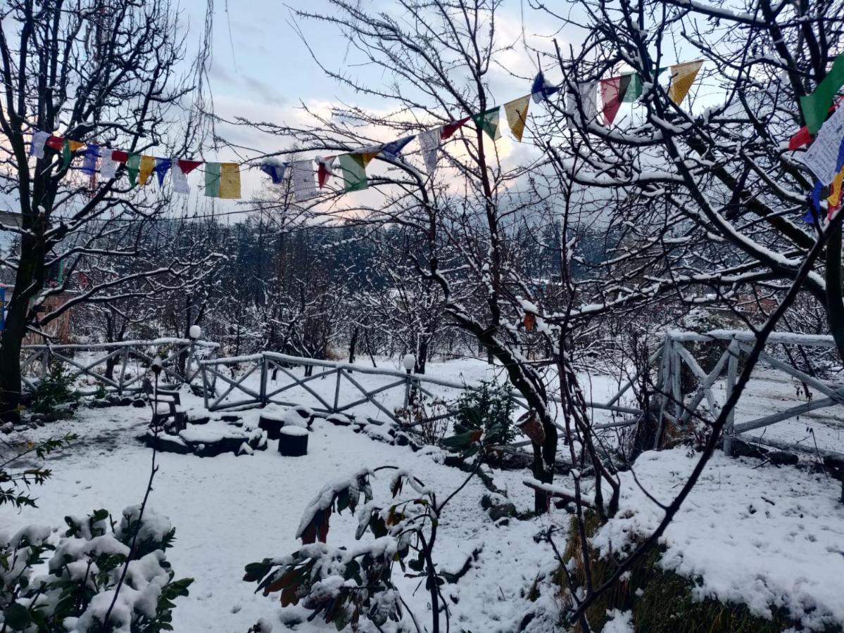 Mars Monkey Hostel & Cafe Manali  Exterior photo