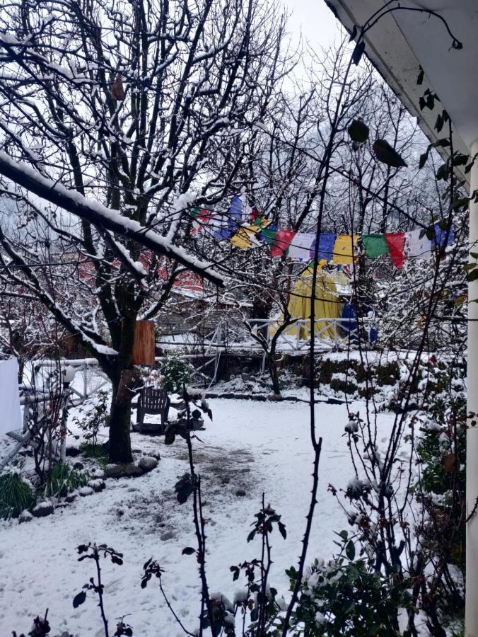 Mars Monkey Hostel & Cafe Manali  Exterior photo
